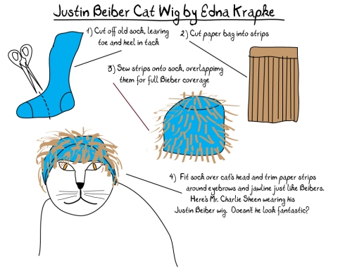 Cat In Wig. Beiber wig for my cat,